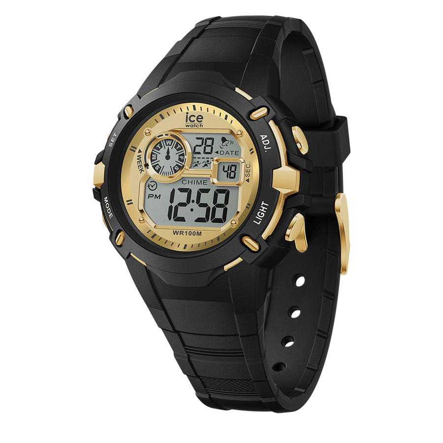 Ice watch